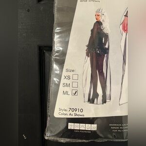 Halloween Sorceress Costume